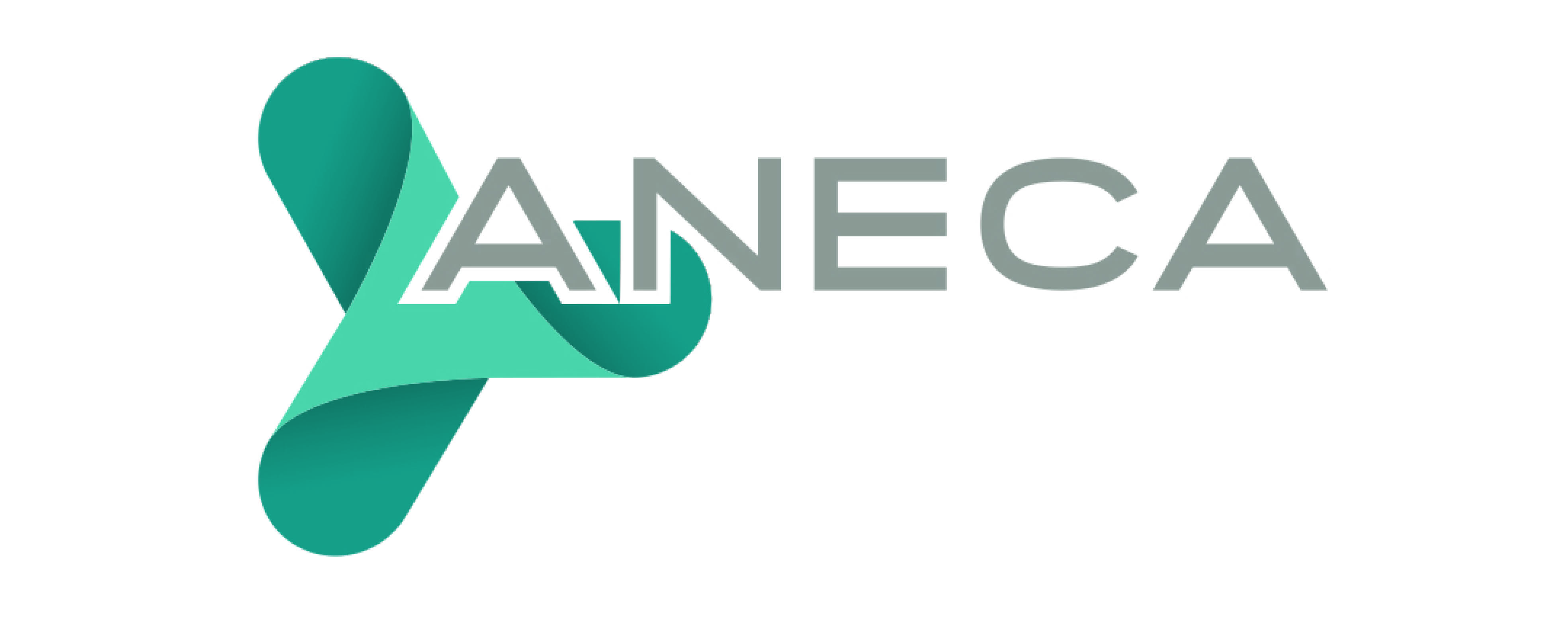 Aneaca